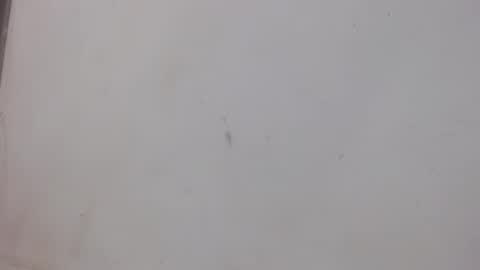 Bergon77 online show from 02/01/25, 01:02