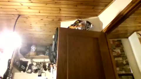 bernichaos77 online show from 02/21/26, 02:34