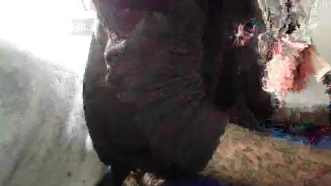 ToxicPipe757 online show from 11/04/25, 03:55