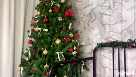 Beth and Derek online show from 12/28/24, 11:52