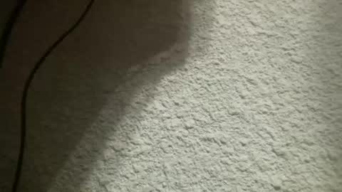 Bigfish123 online show from 02/04/25, 05:21