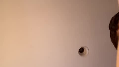 bgiamba21 online show from 10/16/25, 03:40