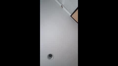 bgiamba21 online show from 02/17/26, 05:48