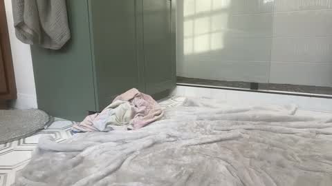 bi3269 online show from 03/25/26, 10:05