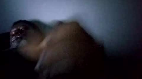 bi582945 online show from 02/14/26, 10:34