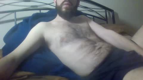 bibotguy online show from 12/19/24, 04:02