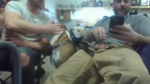 Snapshot of bicboy007 chatting on 03/08/25, 02:34 bicboy007 online show from 03/08/25, 02:34