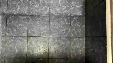 bigass_fag online show from 10/05/25, 09:45