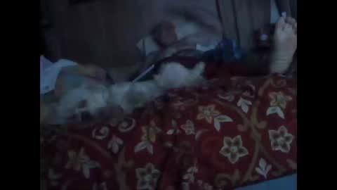 Snapshot of bigbenidick1 chatting on 10/20/25, 01:28 BB online show from 10/20/25, 01:28