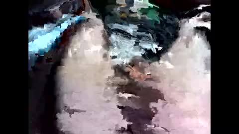 Snapshot of bigbird0100101 chatting on 02/07/26, 06:55 bigbird0100101 online show from 02/07/26, 06:55