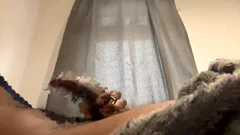 BigBlackCock online show from 12/24/24, 02:01