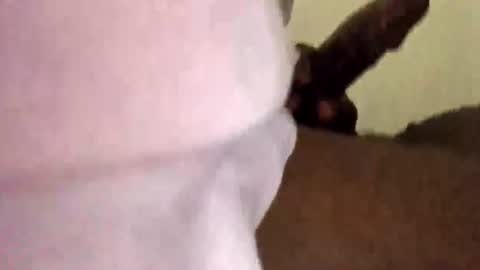BigBlackCock online show from 08/01/26, 01:54