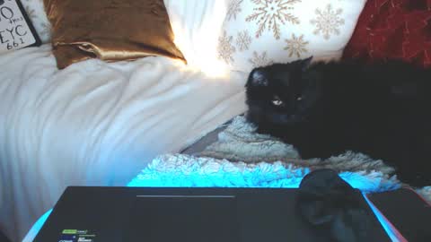 bigboobs_cutie online show from 12/14/24, 10:02