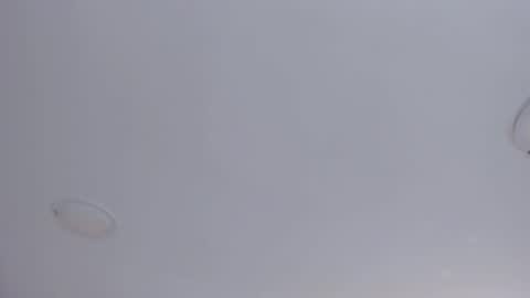   online show from 10/08/25, 09:07