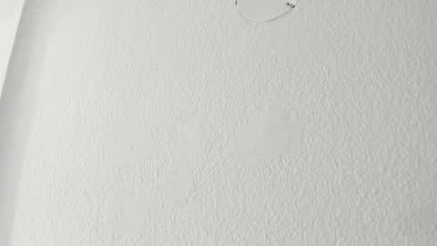   online show from 03/18/26, 09:56