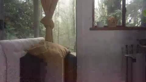 bigbossforsirius online show from 12/01/24, 04:29