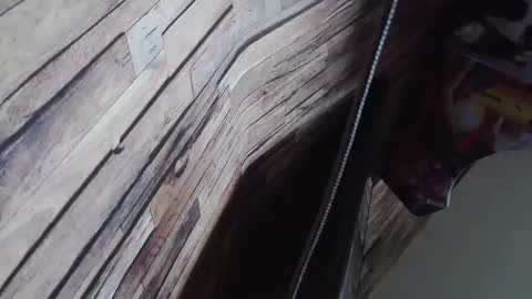 Bigboyband online show from 12/27/24, 08:56