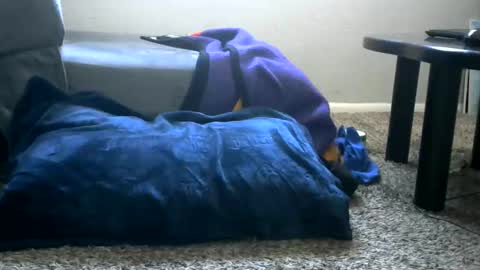 bigboybigbutt69 online show from 05/25/26, 11:00