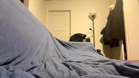 Buster685 online show from 11/19/25, 07:08