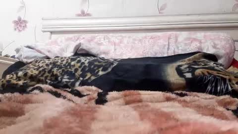 Snapshot of bigcock977654 chatting on 02/23/25, 01:13 bigcock977654 online show from 02/23/25, 01:13