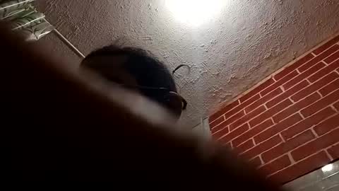 BigDaddykodack online show from 10/28/25, 09:24