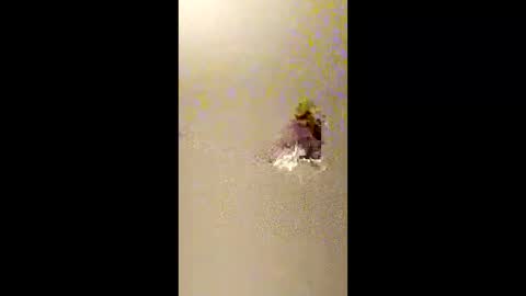 bigdaddydongarlets391292 online show from 02/13/26, 10:44