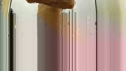 bigdick31589 online show from 05/03/26, 06:25