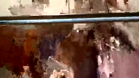 bigdick31589 online show from 05/04/26, 09:27