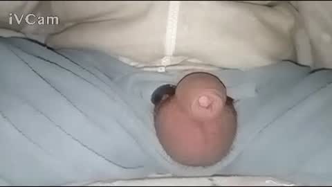 Big online show from 01/30/25, 02:49