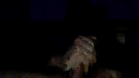 Snapshot of bigdickbcboy chatting on 11/11/25, 08:47 BigThickJuicy Cock online show from 11/11/25, 08:47