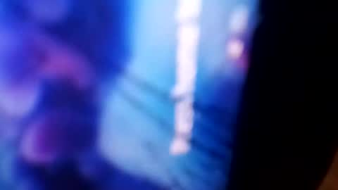 Rooster P online show from 12/04/24, 11:08