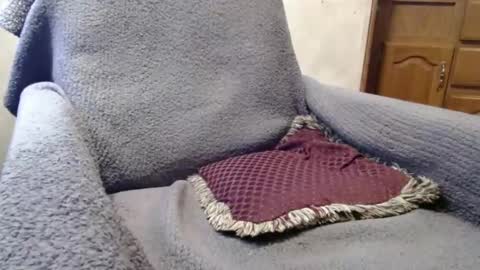 bigdickdaddy567130413 online show from 12/29/24, 02:42