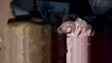 Snapshot of bigdickdaddy7201979564868 chatting on 11/23/25, 02:17 bigdickdaddy7201979564868 online show from 11/23/25, 02:17