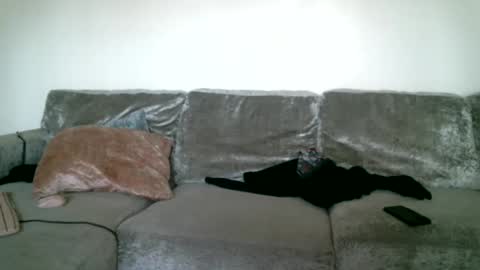 CAJEinc online show from 02/15/25, 05:39