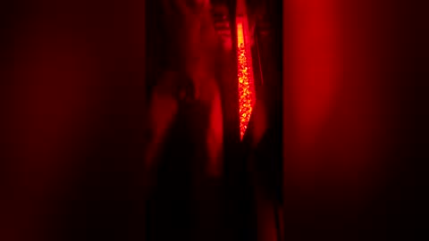 bigdickpapishampoo online show from 12/23/25, 08:12