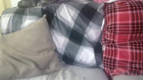 bigdicktrannynicole online show from 01/29/25, 12:56