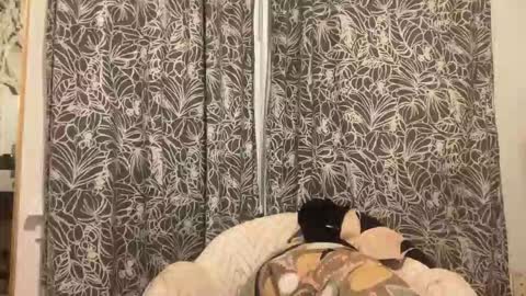 Snapshot of bigdickwalkin chatting on 02/15/26, 02:41 bigdickwalkin online show from 02/15/26, 02:41