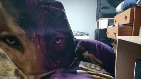 George Forest Dickyduby on all Socials online show from 11/12/25, 02:01