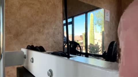 Gavin online show from 11/29/25, 08:12