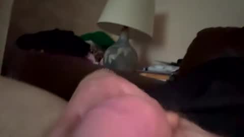 biggloves4bighands online show from 12/21/25, 02:24