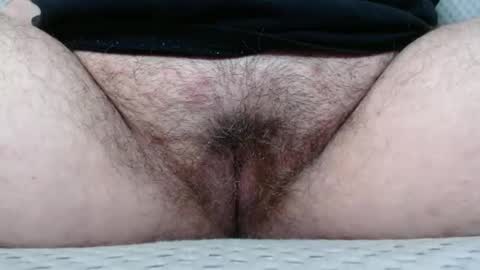 Snapshot of bighairyabby chatting on 11/08/25, 04:07 Abby online show from 11/08/25, 04:07