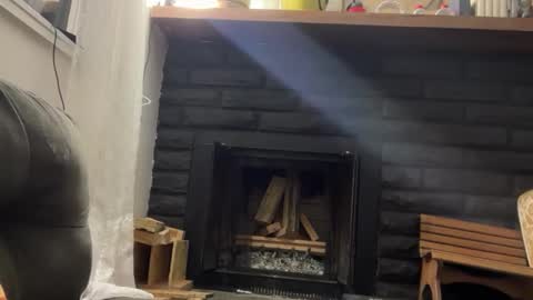 Daniel  Noelia online show from 11/17/25, 11:38