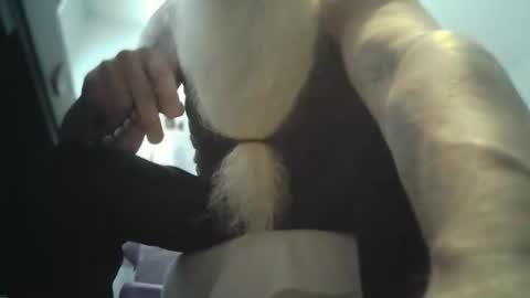 bigjeff01 online show from 02/11/26, 03:39