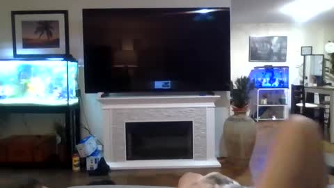 bigjoed233 online show from 05/21/26, 12:06