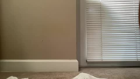 bigjohnsmith5 online show from 02/11/25, 09:03