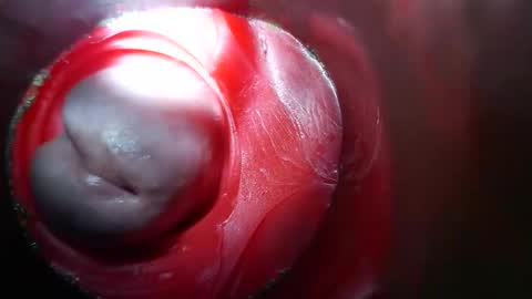 Snapshot of bigmoneycorey chatting on 03/10/26, 03:50 bigmoneycorey online show from 03/10/26, 03:50