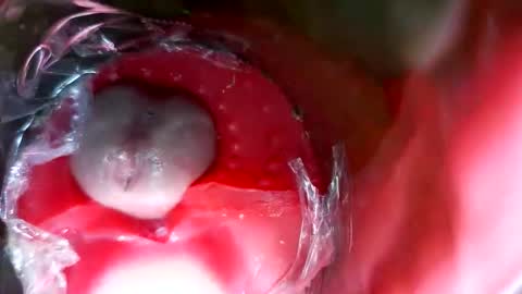 Snapshot of bigmoneycorey chatting on 03/12/26, 07:31 bigmoneycorey online show from 03/12/26, 07:31