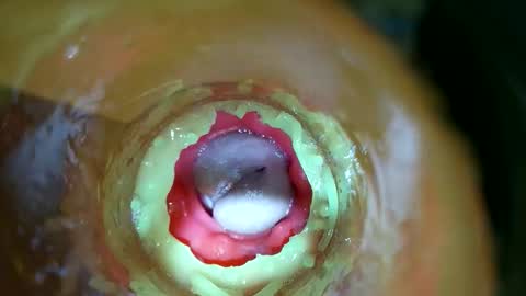 Snapshot of bigmoneycorey chatting on 03/14/26, 07:30 bigmoneycorey online show from 03/14/26, 07:30