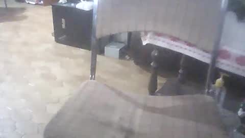 bigpenix online show from 04/01/26, 01:39