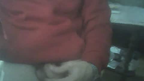bigpenix online show from 07/05/26, 04:41
